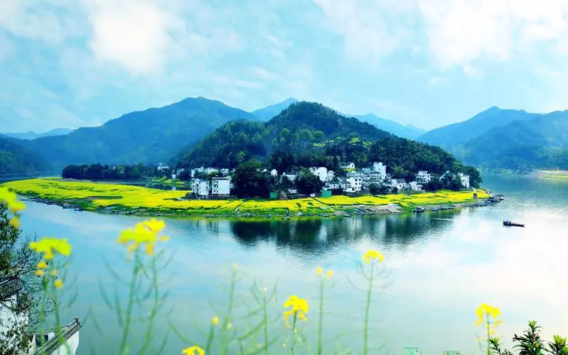 高端高端